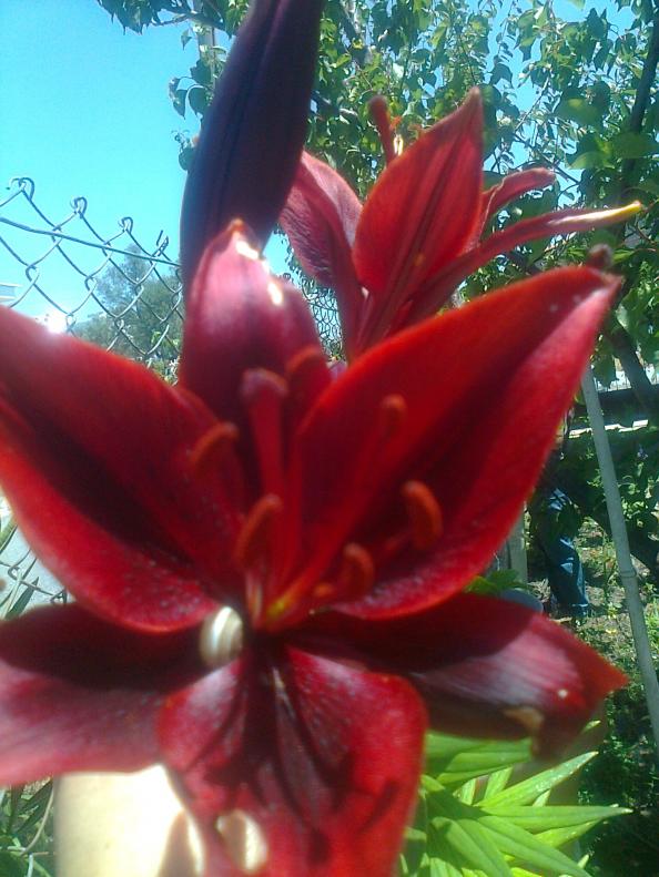 Name:  Fotoraf0036.jpg
Views: 1951
Size:  72.4 KB