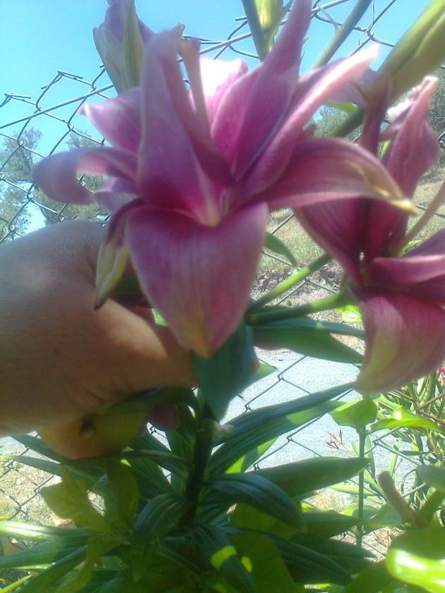 Name:  Fotoraf0037.jpg
Views: 1980
Size:  70.5 KB