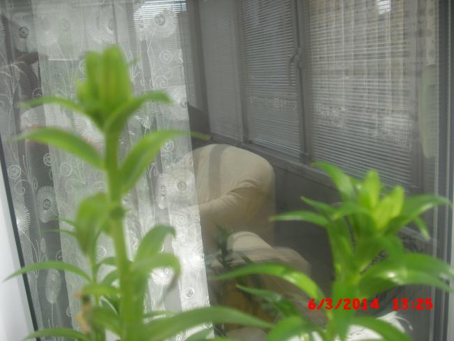 Name:  CIMG5913.jpg
Views: 392
Size:  37.0 KB