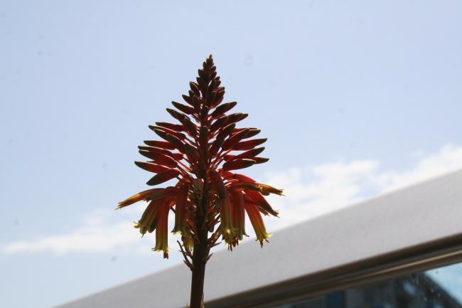 Name:  IMG_6119.jpg
Views: 748
Size:  21.6 KB