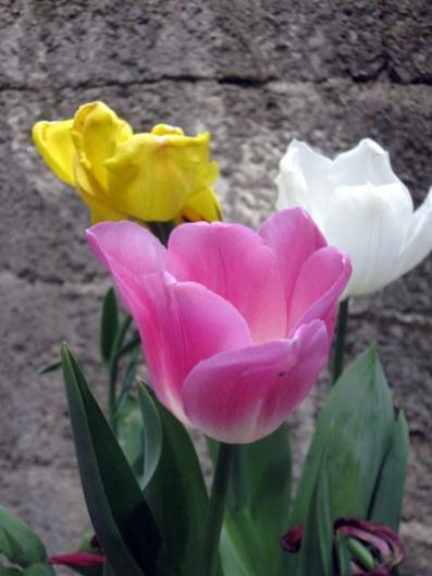 Name:  IMG_6768.jpg
Views: 553
Size:  27.9 KB
