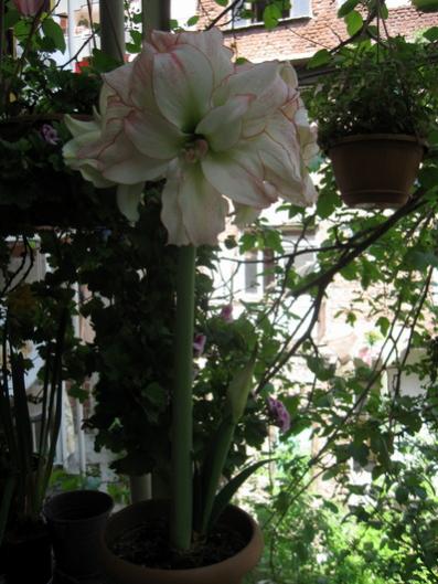 Name:  IMG_6731.jpg
Views: 654
Size:  43.7 KB