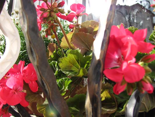 Name:  IMG_3339.JPG
Views: 744
Size:  64.5 KB