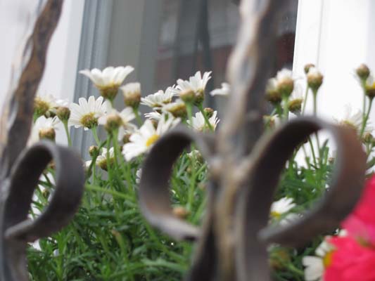 Name:  IMG_3342.JPG
Views: 675
Size:  45.7 KB