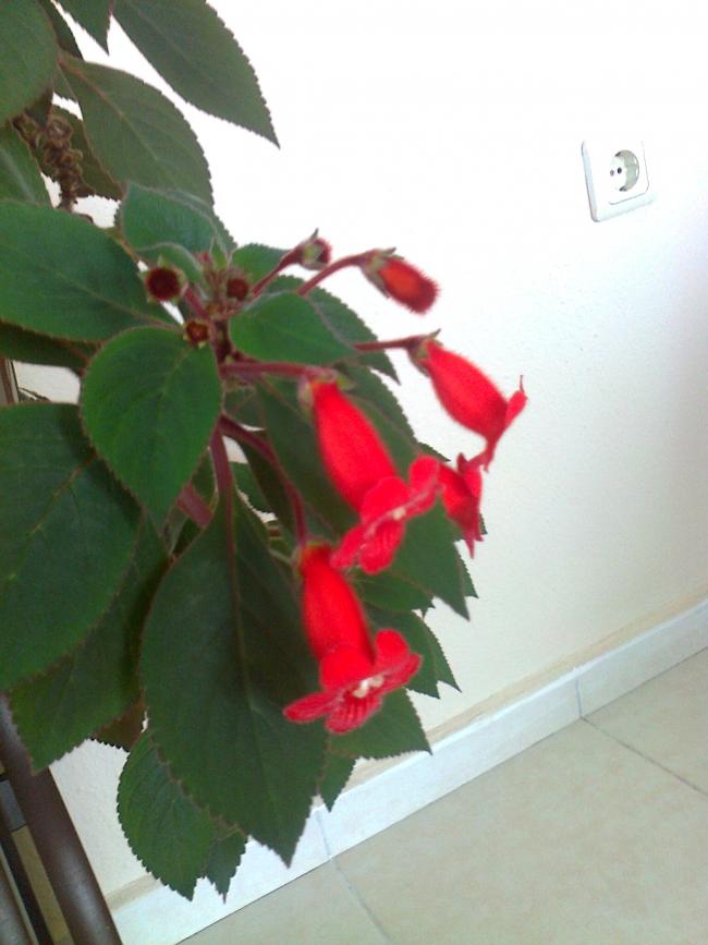 Name:  Fotoraf0394.jpg
Views: 971
Size:  49.7 KB