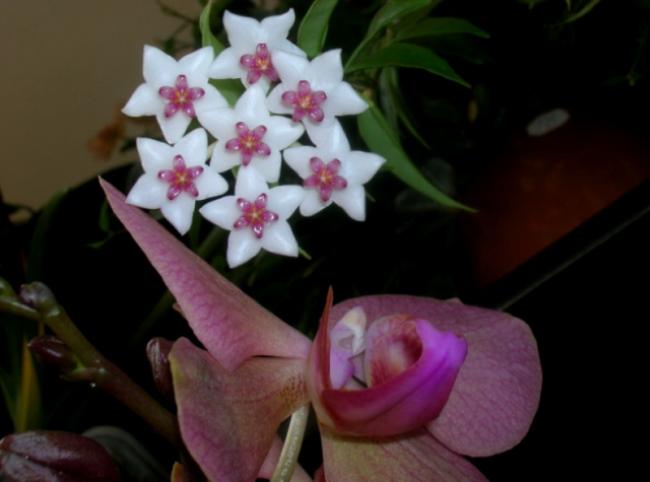 Name:  DSCN4698.jpg
Views: 702
Size:  28.3 KB