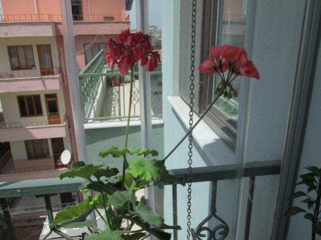 Name:  IMG_3774.jpg
Views: 438
Size:  42.2 KB