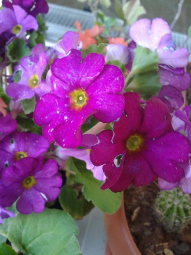 Name:  20140427_184617.jpg
Views: 1550
Size:  62.8 KB