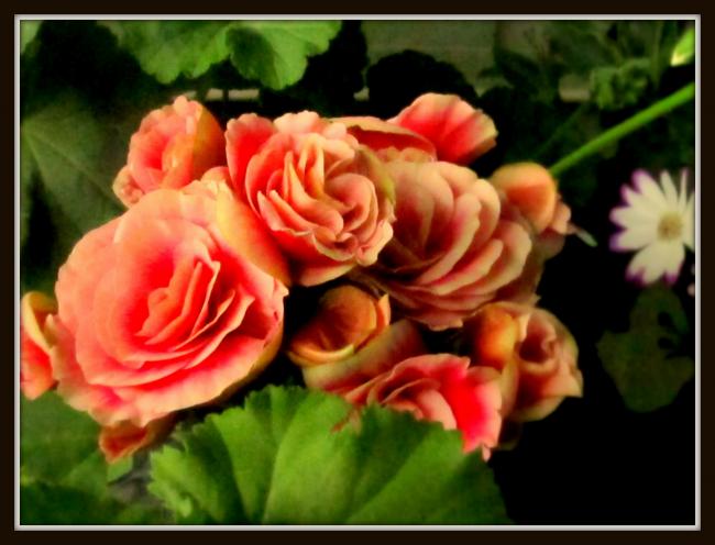 Name:  IMG_1772.jpg
Views: 884
Size:  44.3 KB