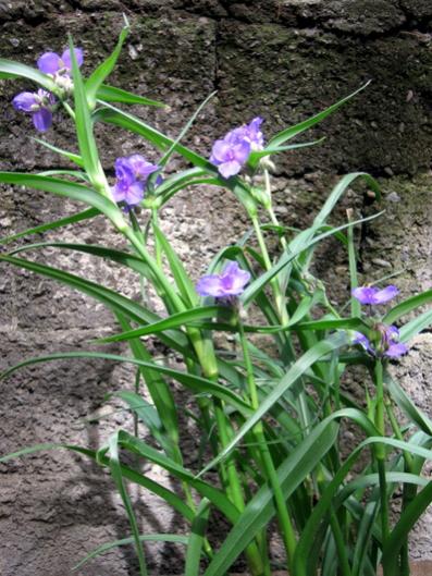 Name:  IMG_7348.jpg
Views: 1071
Size:  55.4 KB