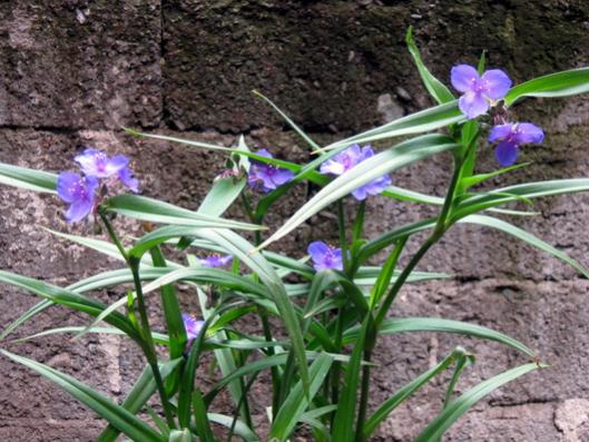 Name:  IMG_7353.jpg
Views: 749
Size:  52.5 KB