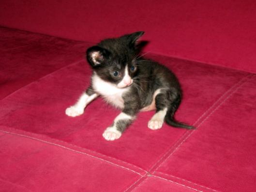 Name:  IMG_7046.jpg
Views: 769
Size:  21.0 KB