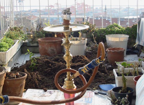 Name:  nargile.jpg
Views: 965
Size:  47.9 KB