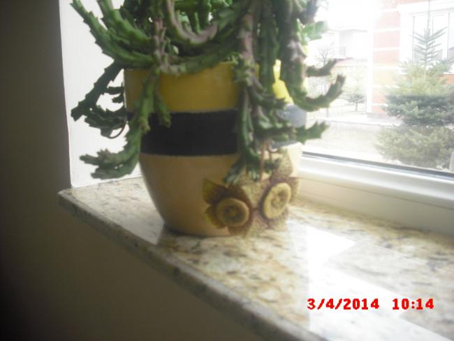 Name:  CIMG5991.jpg
Views: 311
Size:  31.4 KB