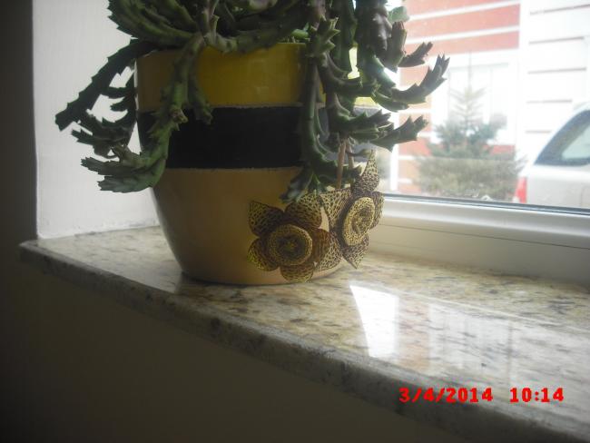 Name:  CIMG5992.jpg
Views: 307
Size:  33.6 KB