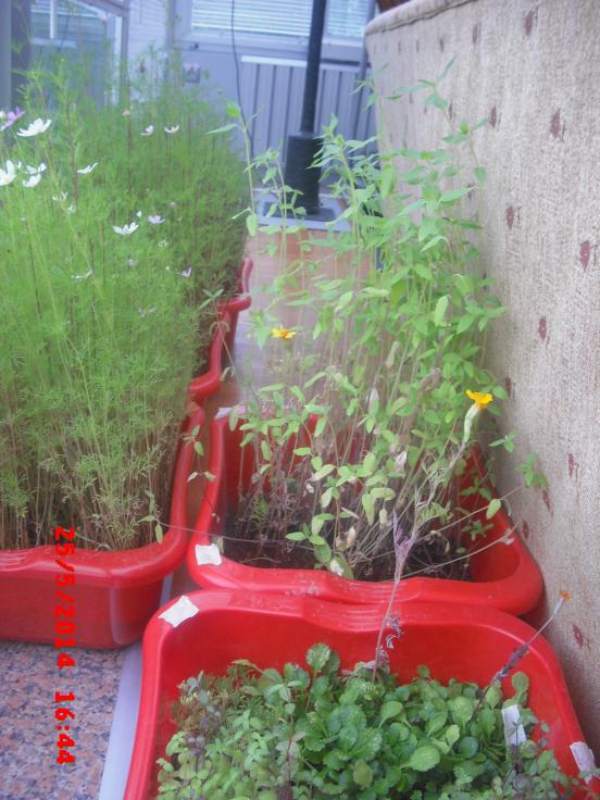 Name:  CIMG6109.jpg
Views: 533
Size:  72.6 KB