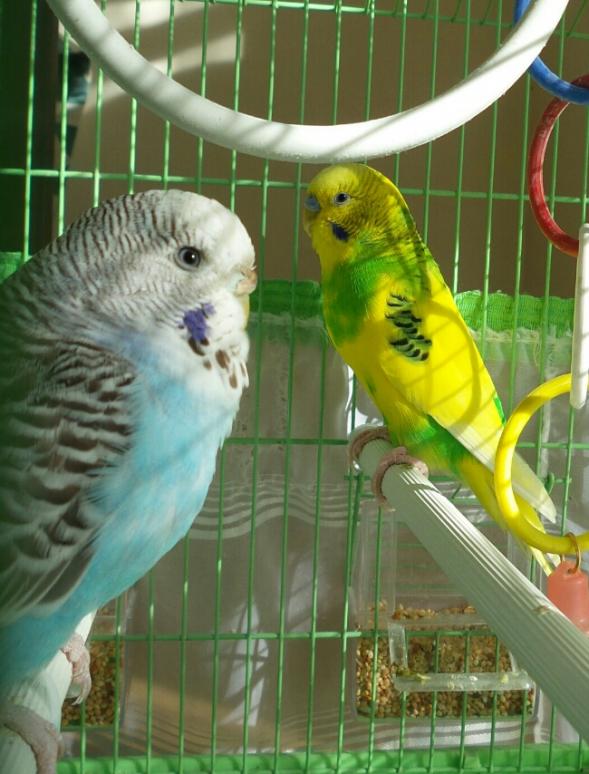 Name:  Bulut 5.jpg
Views: 1463
Size:  64.6 KB