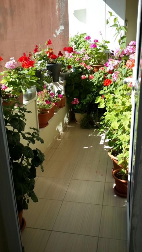 Name:  Balkon 2.jpg
Views: 2493
Size:  71.1 KB