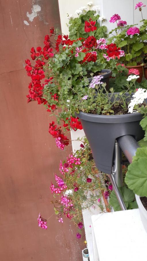 Name:  Balkon Yandan Grnm.jpg
Views: 2397
Size:  69.8 KB