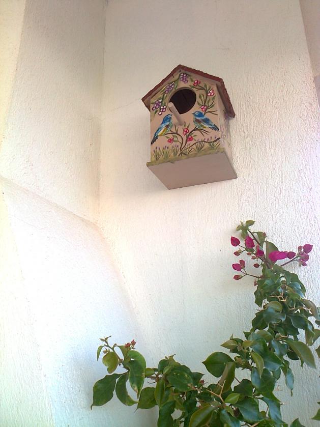 Name:  Fotoraf0956.jpg
Views: 1003
Size:  69.9 KB