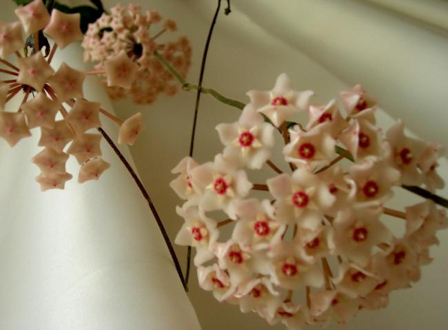 Name:  DSCN5003.jpg
Views: 913
Size:  32.0 KB
