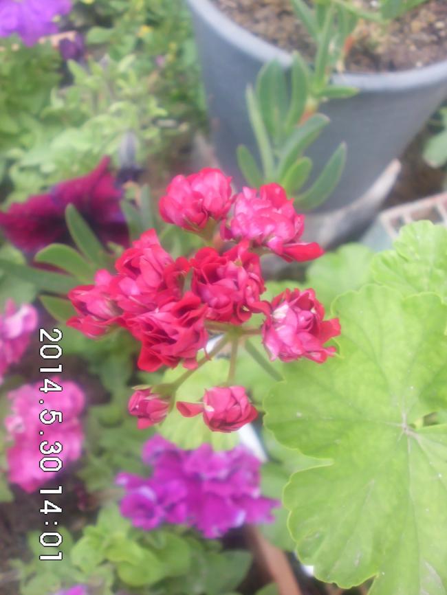 Name:  4.jpg
Views: 843
Size:  57.1 KB