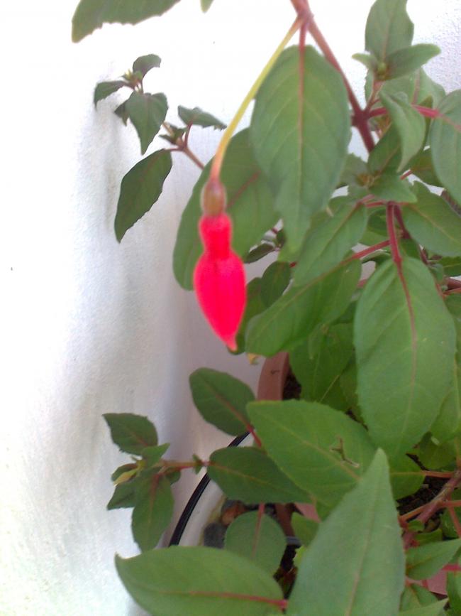 Name:  Fotoraf0962.jpg
Views: 699
Size:  48.8 KB
