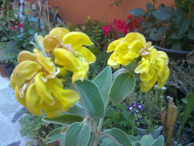 Name:  isimsiz.jpg
Views: 2311
Size:  48.5 KB