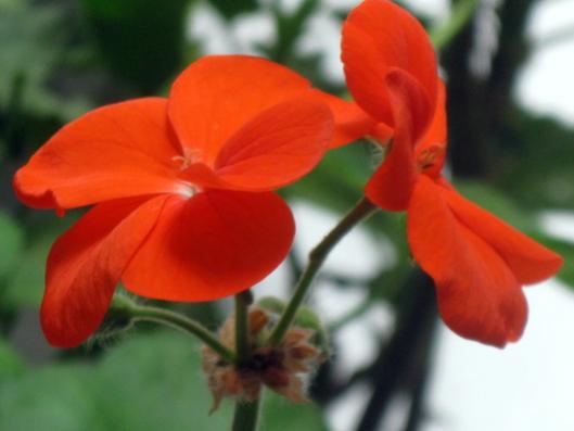Name:  IMG_7222.jpg
Views: 538
Size:  20.7 KB