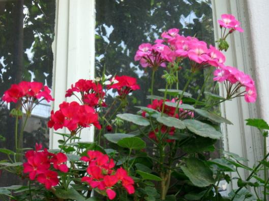 Name:  IMG_0643.jpg
Views: 544
Size:  40.8 KB