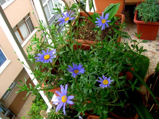 Name:  DSCN5030.jpg
Views: 816
Size:  70.8 KB