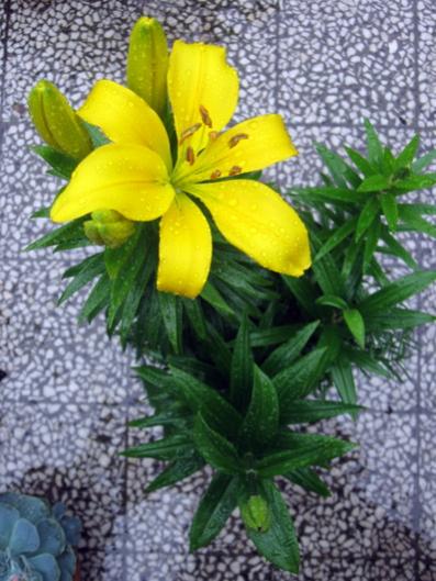 Name:  IMG_0941.jpg
Views: 444
Size:  45.4 KB