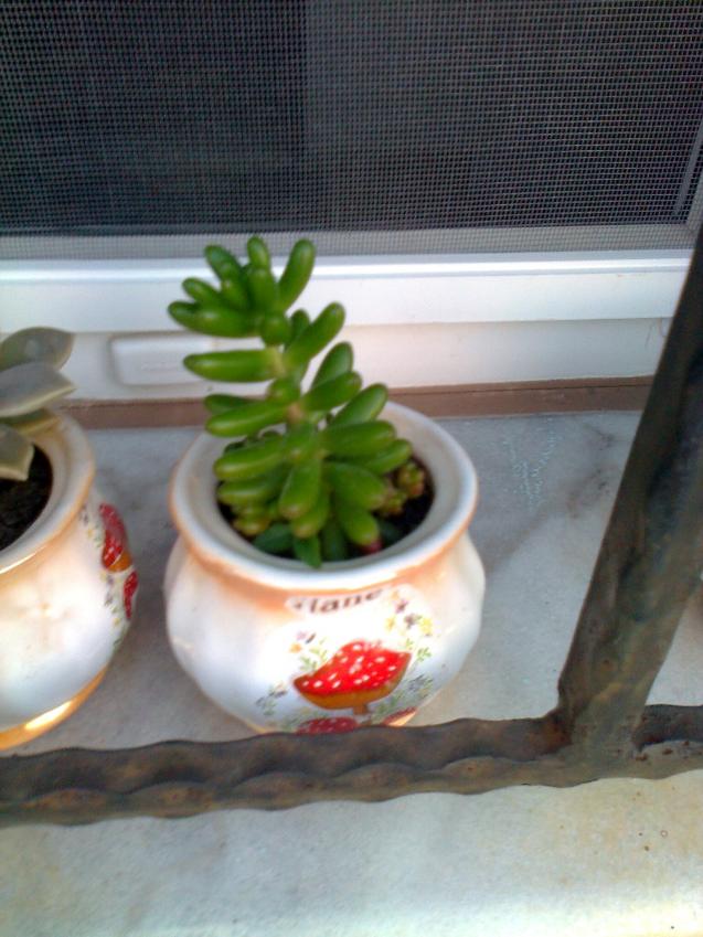 Name:  Fotoraf1182.jpg
Views: 890
Size:  70.2 KB