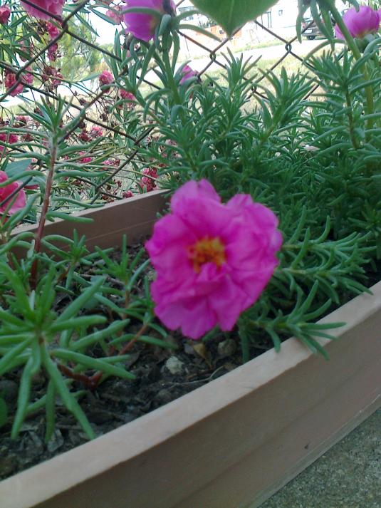 Name:  Fotoraf1104.jpg
Views: 904
Size:  74.8 KB