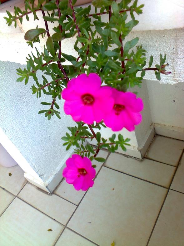 Name:  Fotoraf1221.jpg
Views: 889
Size:  72.7 KB