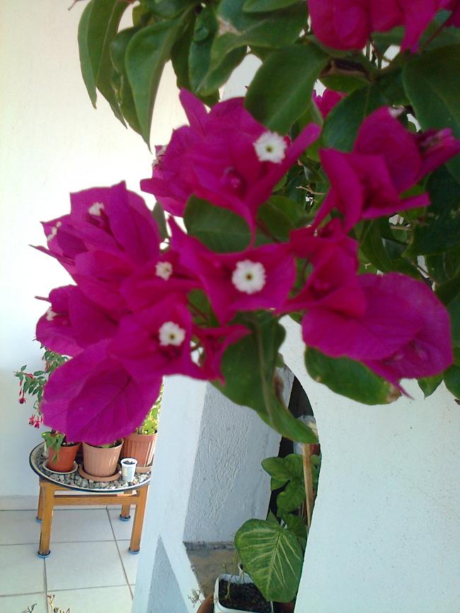 Name:  Fotoraf1160.jpg
Views: 903
Size:  65.2 KB