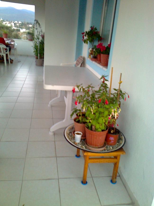 Name:  Fotoraf1212.jpg
Views: 895
Size:  52.5 KB