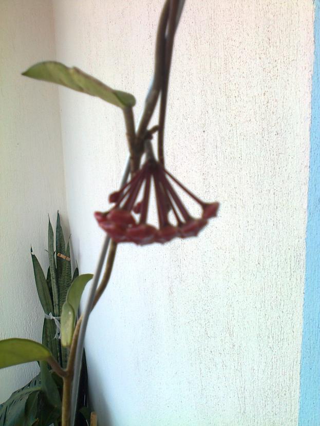 Name:  Fotoraf1153.jpg
Views: 833
Size:  69.6 KB