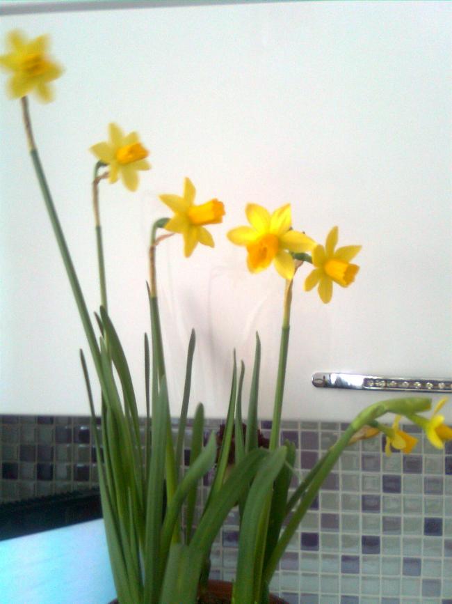 Name:  Grnt0054.jpg
Views: 308
Size:  51.7 KB