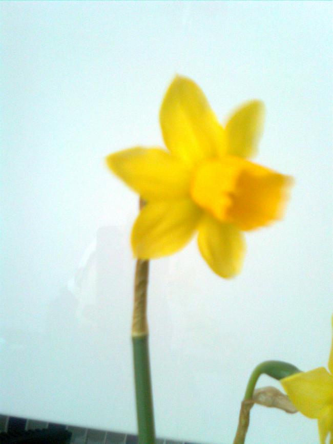Name:  Grnt0055.jpg
Views: 299
Size:  36.8 KB