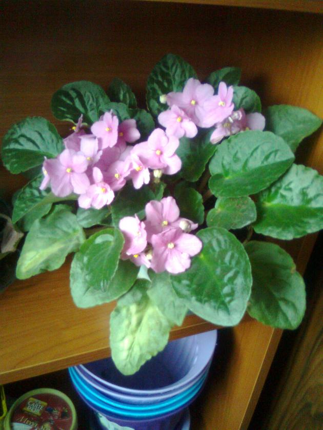Name:  Grnt0068.jpg
Views: 320
Size:  70.1 KB