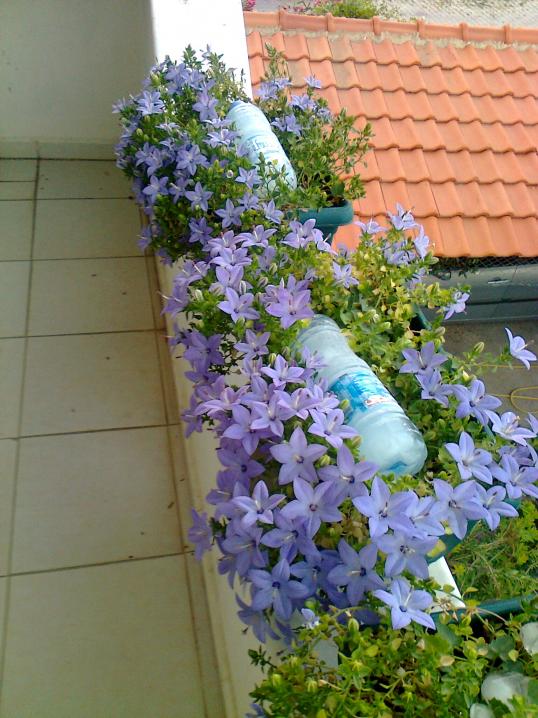 Name:  Fotoraf1297.jpg
Views: 825
Size:  74.2 KB