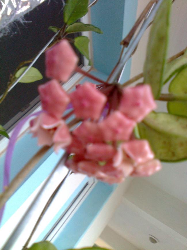 Name:  Fotoraf1292.jpg
Views: 808
Size:  53.8 KB