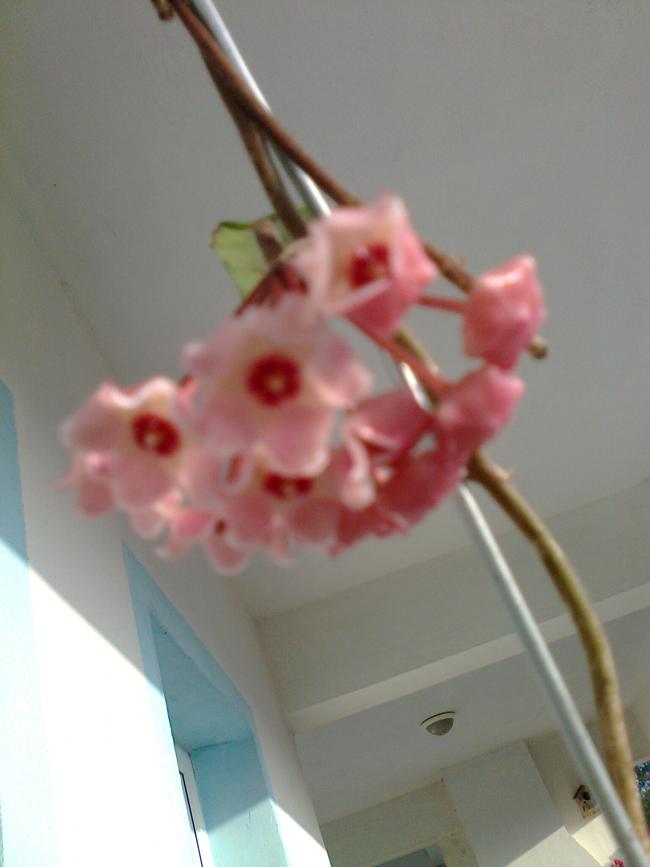 Name:  Fotoraf1316.jpg
Views: 824
Size:  35.4 KB