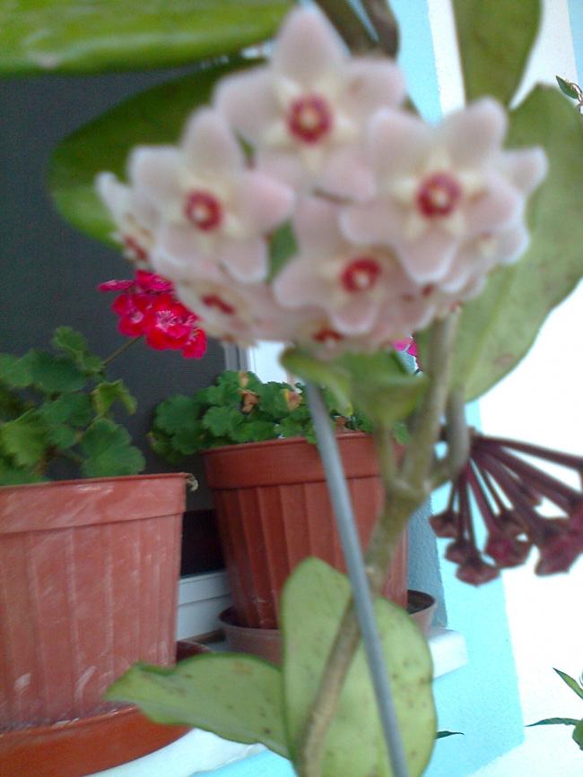 Name:  Fotoraf1291.jpg
Views: 846
Size:  54.6 KB