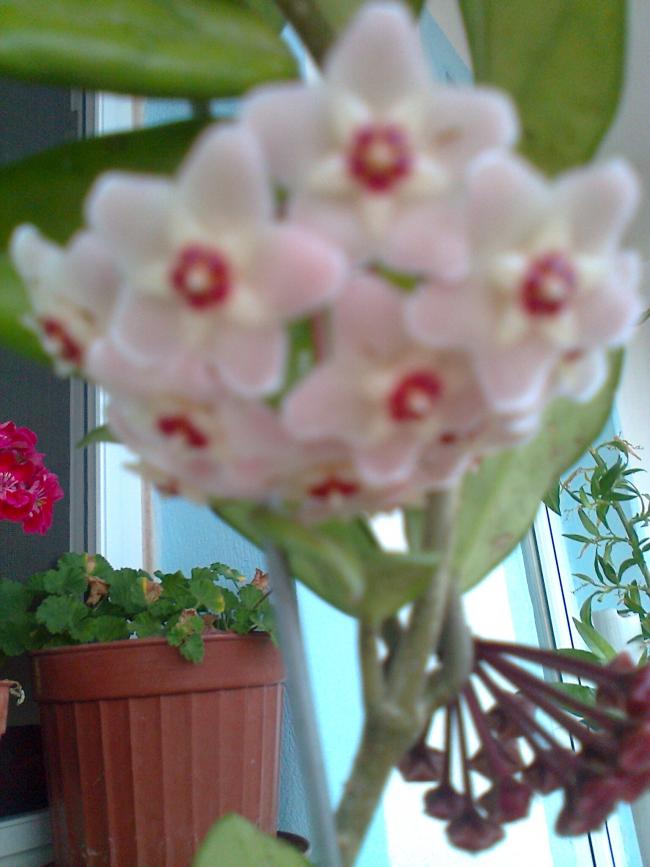 Name:  Fotoraf1295.jpg
Views: 593
Size:  57.3 KB