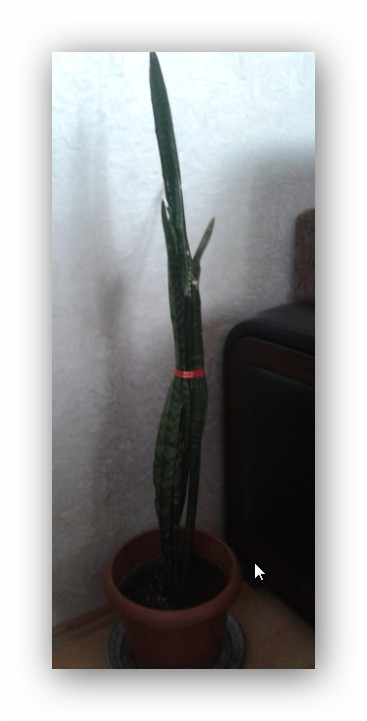 Name:  Ashampoo_Snap_2014.06.25_00h41m13s_013_.jpg
Views: 1610
Size:  36.0 KB