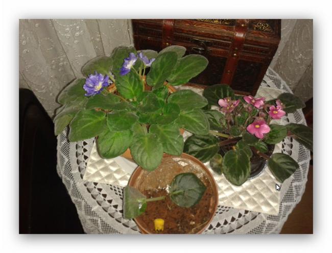 Name:  Ashampoo_Snap_2014.06.25_00h40m03s_009_.jpg
Views: 1666
Size:  47.9 KB
