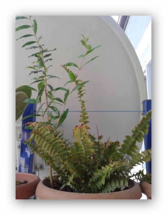 Name:  Ashampoo_Snap_2014.06.25_00h38m23s_004_.jpg
Views: 1542
Size:  39.3 KB