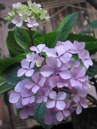 Name:  IMG_1314.jpg
Views: 947
Size:  30.5 KB